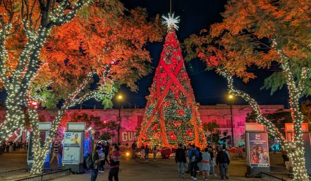 Christmas Tree in Guadalajara Mexico