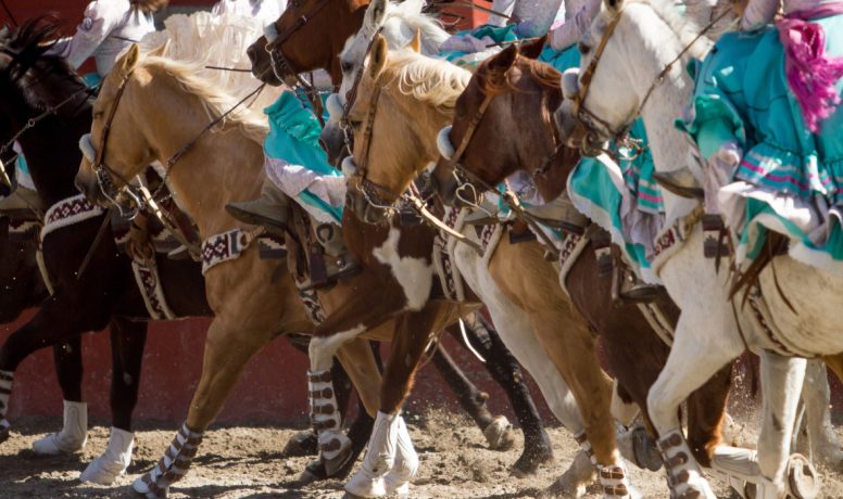 Charrería, a Guadalajara tradition